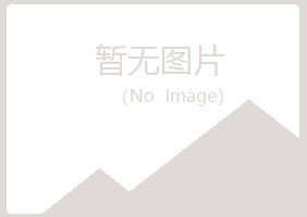 山阳区女孩会计有限公司